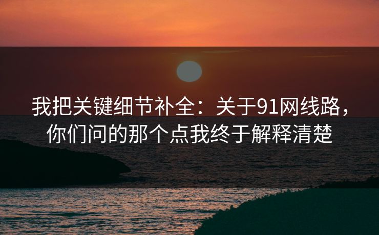 我把关键细节补全：关于91网线路，你们问的那个点我终于解释清楚
