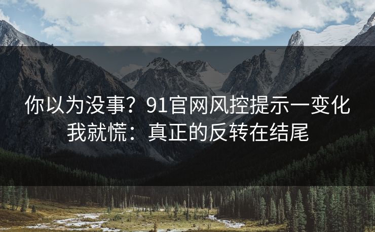 你以为没事？91官网风控提示一变化我就慌：真正的反转在结尾