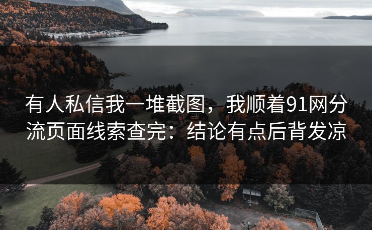 有人私信我一堆截图，我顺着91网分流页面线索查完：结论有点后背发凉