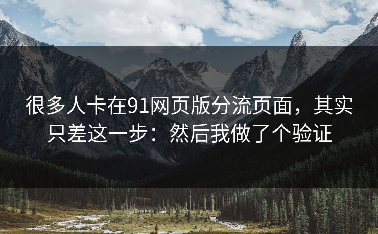 很多人卡在91网页版分流页面，其实只差这一步：然后我做了个验证