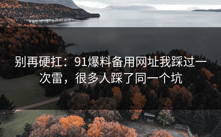 别再硬扛：91爆料备用网址我踩过一次雷，很多人踩了同一个坑