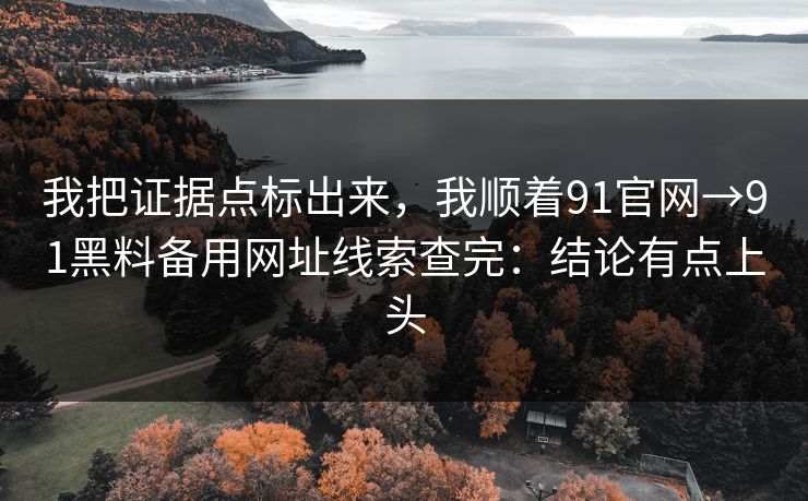 我把证据点标出来,我顺着91官网→91黑料备用网址线索查完:结论有点上头 我把证据点标出来,我顺着91官网→91黑料备用网址线索查完:结论有点上头