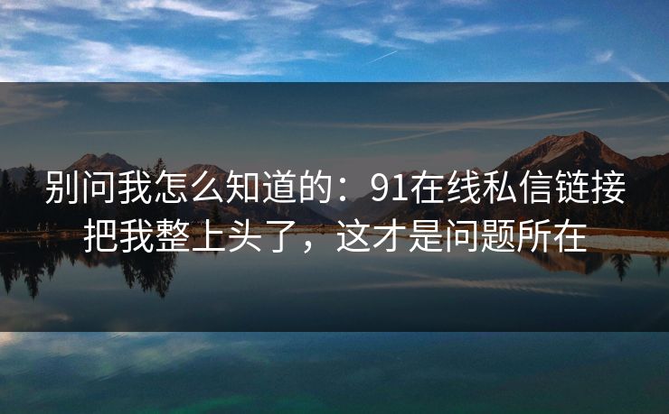 别问我怎么知道的：91在线私信链接把我整上头了，这才是问题所在